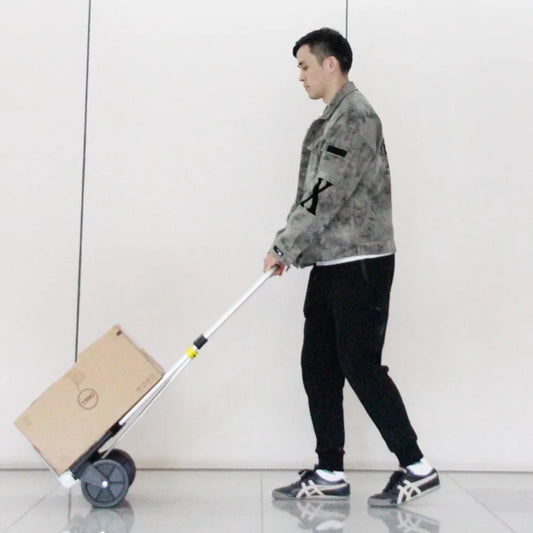 0063 Krovinių vežimėlis