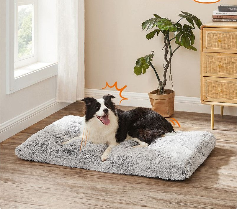 0097 Pailgas guolis augintiniui