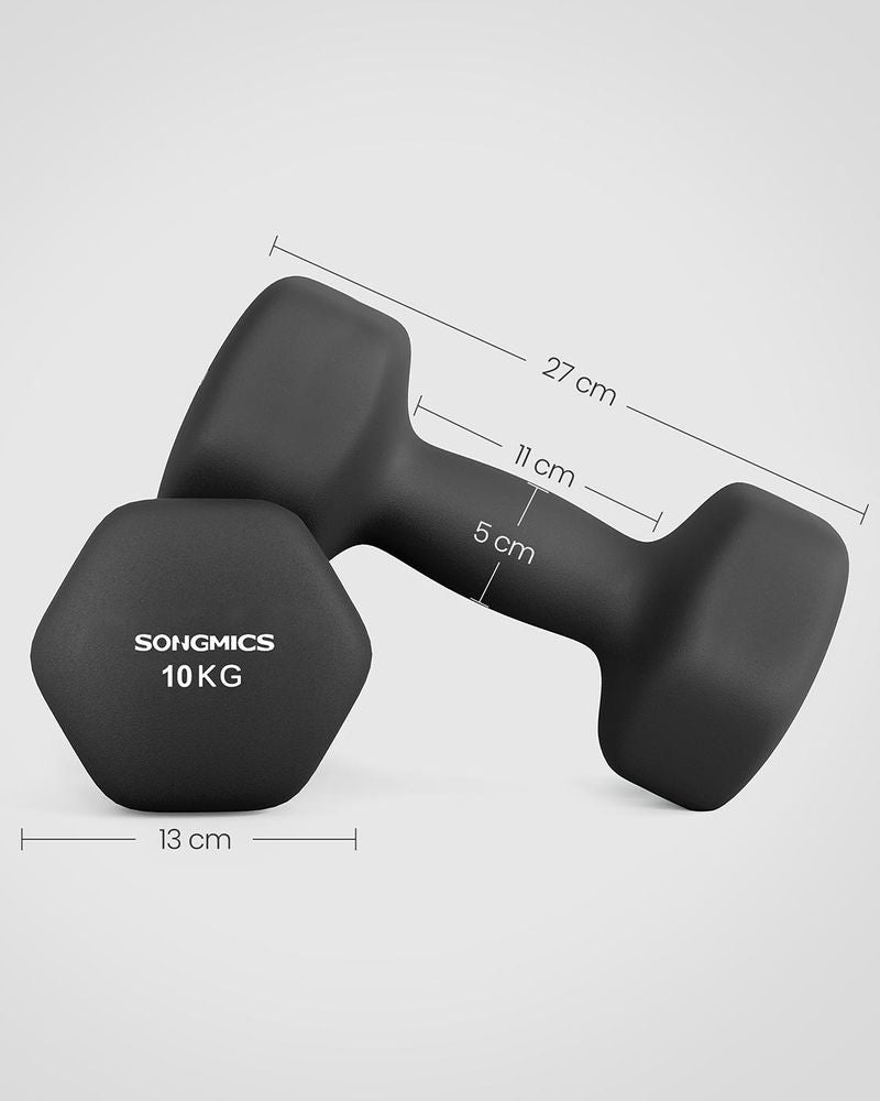 0051 Svarmenys 2x10kg